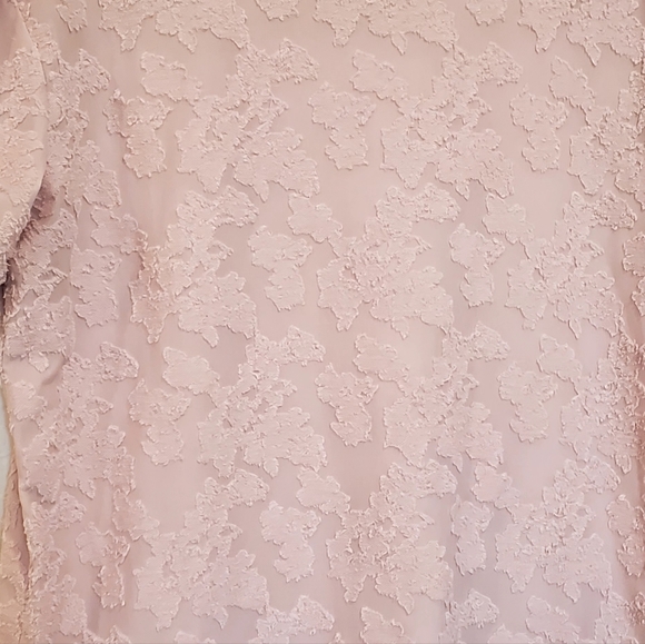 Wilfred Aritizia Dusty Pink Stretchy Sheer Floral Jacquard Top, Med. EUC - Picture 5 of 15